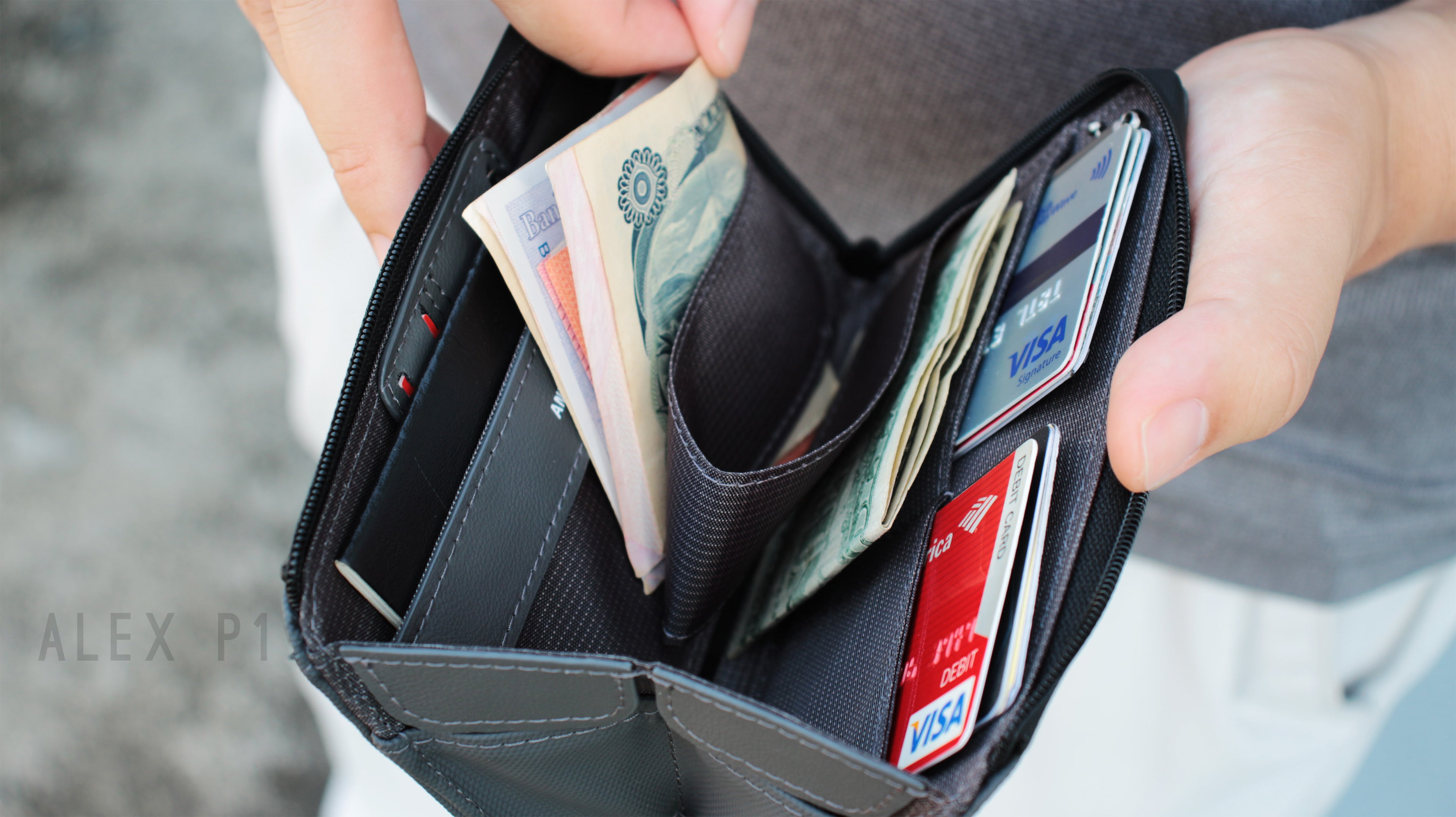 Alex P1 passport wallet