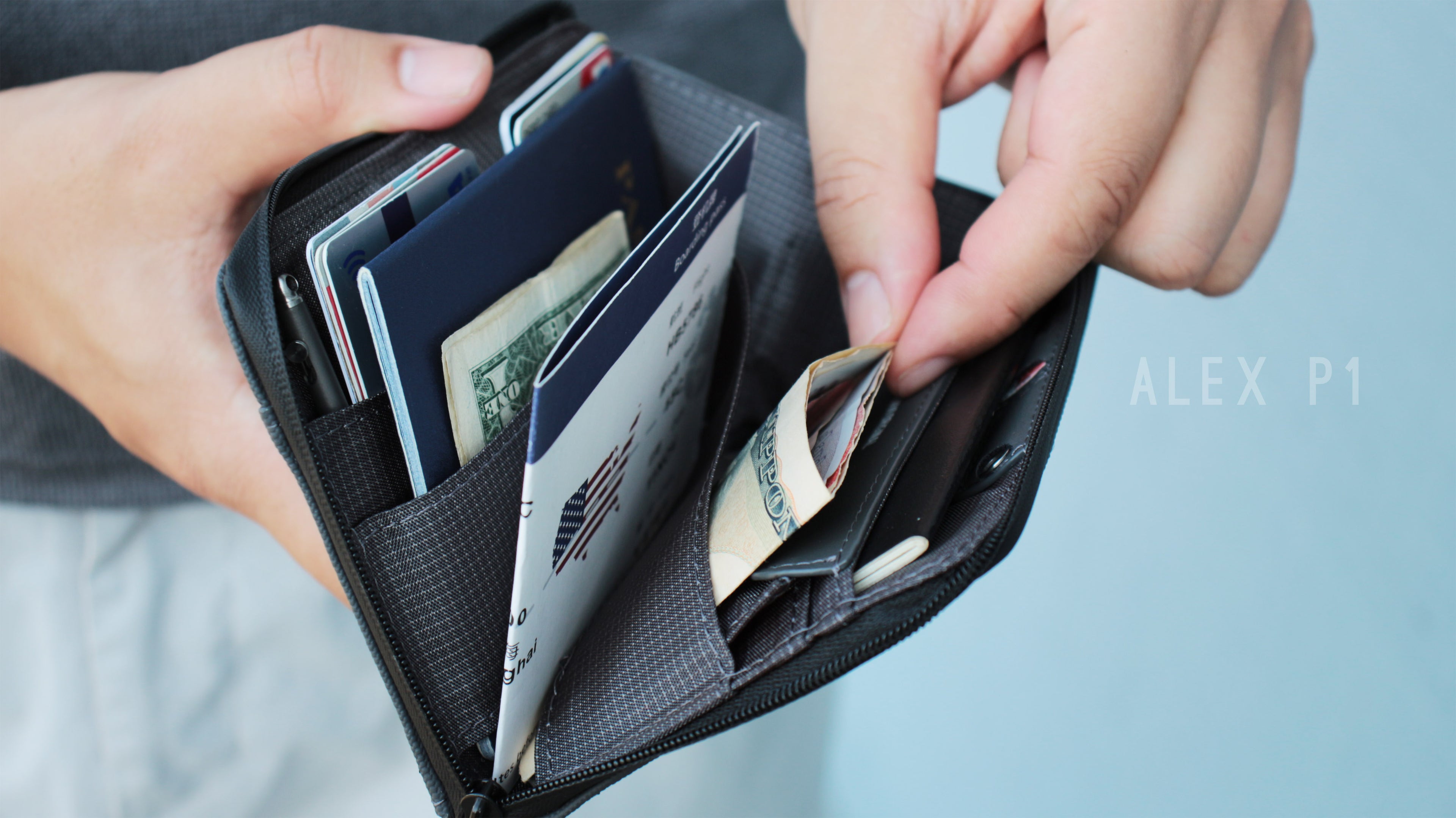 Alex P1 passport wallet
