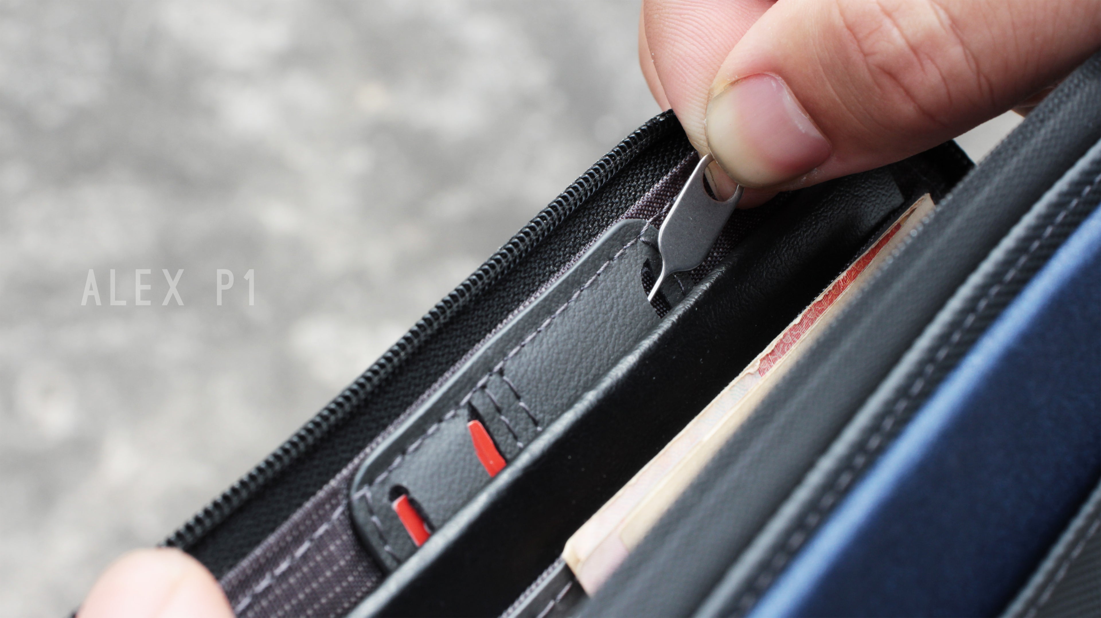 Alex P1 passport wallet